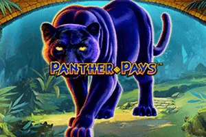 Panther Pays - ZONABET138
