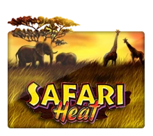 Joker123 : Safari Heat - ZONABET138