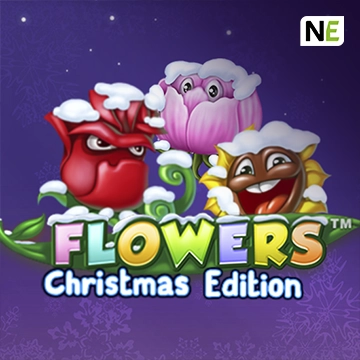 Flowers Christmas Edition - ZONABET138