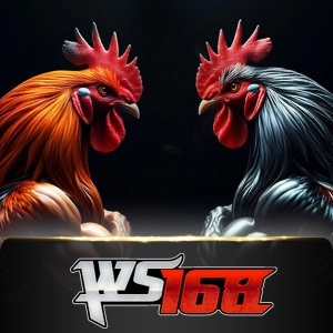 Ws168 Sabung - ZONABET138