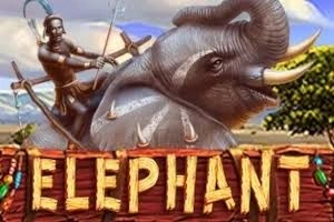 PLAYSTAR : ELEPHANT - ZONABET138