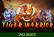 Spadegaming : Tiger Warrior - ZONABET138