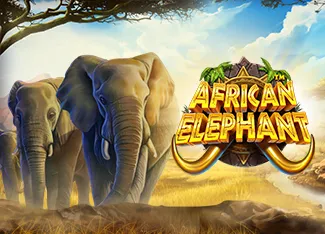 Pragmatic : African Elephant - ZONABET138